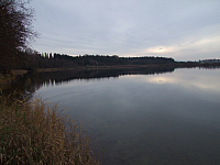 07.11.2010 16:23:59
Hofstätter See
Garchinger Umland
Garchinger.de