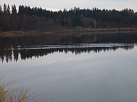 07.11.2010 16:25:01
Hofstätter See
Garchinger Umland
Garchinger.de