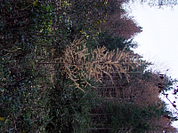 07.11.2010 17:10:02
Hofstätter See
Garchinger Umland
Garchinger.de