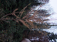 07.11.2010 17:10:18
Hofstätter See
Garchinger Umland
Garchinger.de