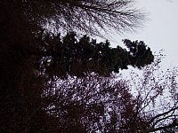 07.11.2010 17:11:32
Hofstätter See
Garchinger Umland
Garchinger.de