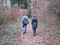 07.11.2010 17:12:15
Hofstätter See
Garchinger Umland
Garchinger.de