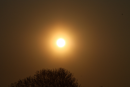 25.04.2013 19:34:02
Kuhschellen - Garchinger Umland - Garchinger.de