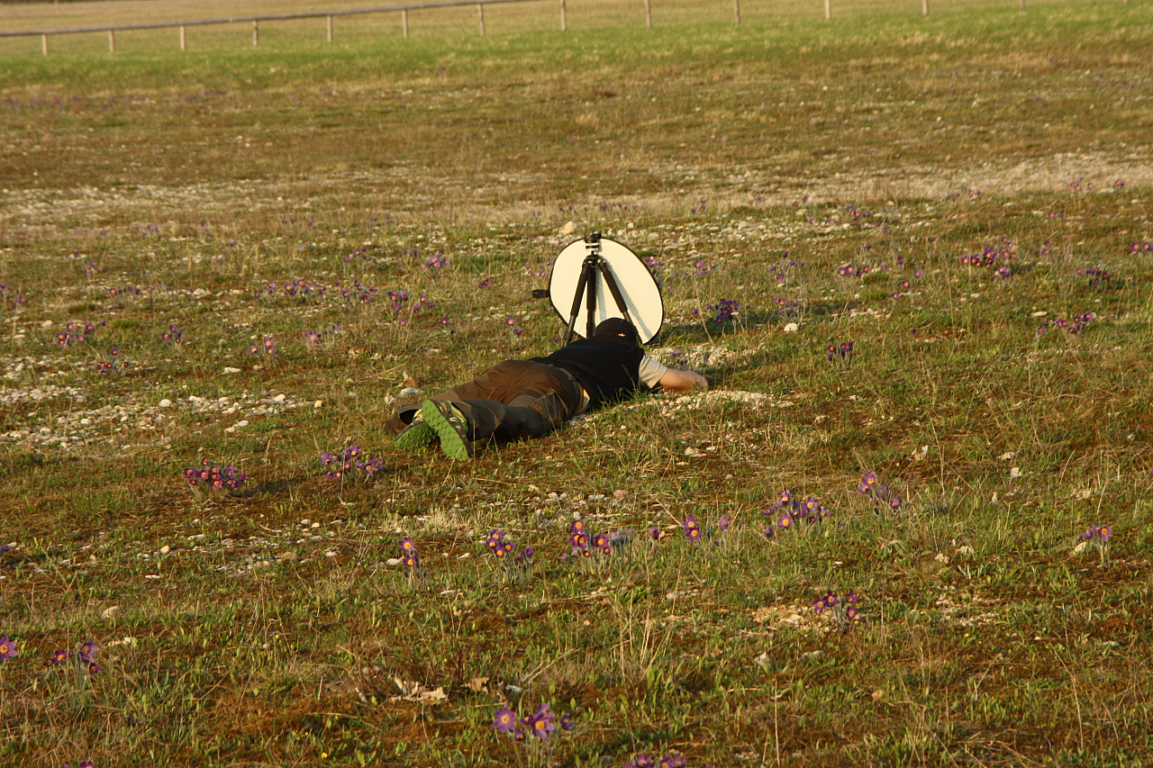 25.04.2013 19:07:47
Kuhschellen - Garchinger Umland - Garchinger.de