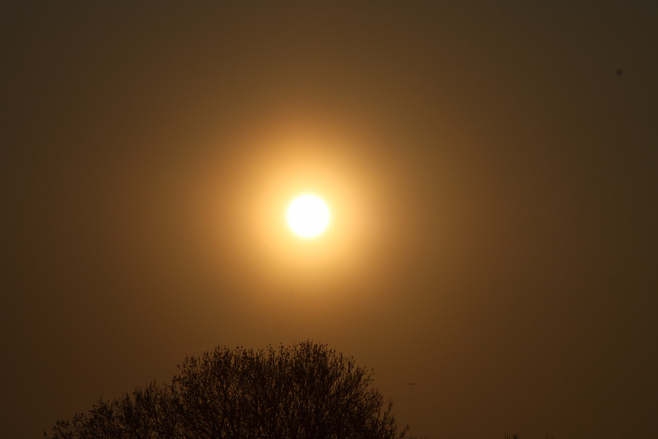 25.04.2013 19:34:02
Kuhschellen - Garchinger Umland - Garchinger.de