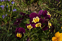 01.05.2013 17:07:31
Oberschleißheim
Garchinger Umland
Garchinger.de