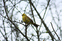 01.05.2013 18:53:44
Oberschleißheim
Garchinger Umland
Garchinger.de