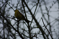 01.05.2013 18:53:46
Oberschleißheim
Garchinger Umland
Garchinger.de