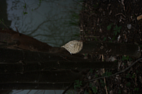 01.05.2013 19:22:04
Oberschleißheim
Garchinger Umland
Garchinger.de