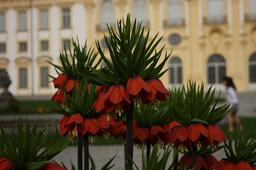 01.05.2013 17:44:44
Oberschleißheim - Garchinger Umland - Garchinger.de