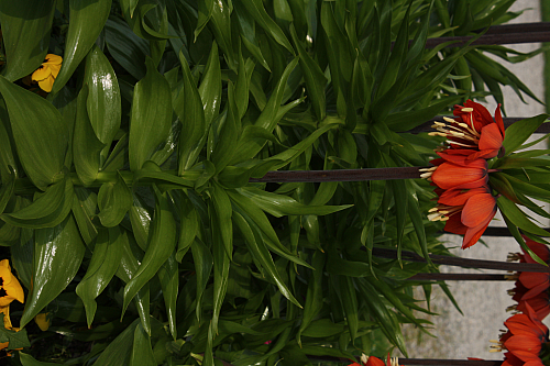 01.05.2013 17:45:16
Oberschleißheim - Garchinger Umland - Garchinger.de