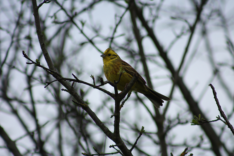 01.05.2013 18:53:44
Oberschleißheim - Garchinger Umland - Garchinger.de
