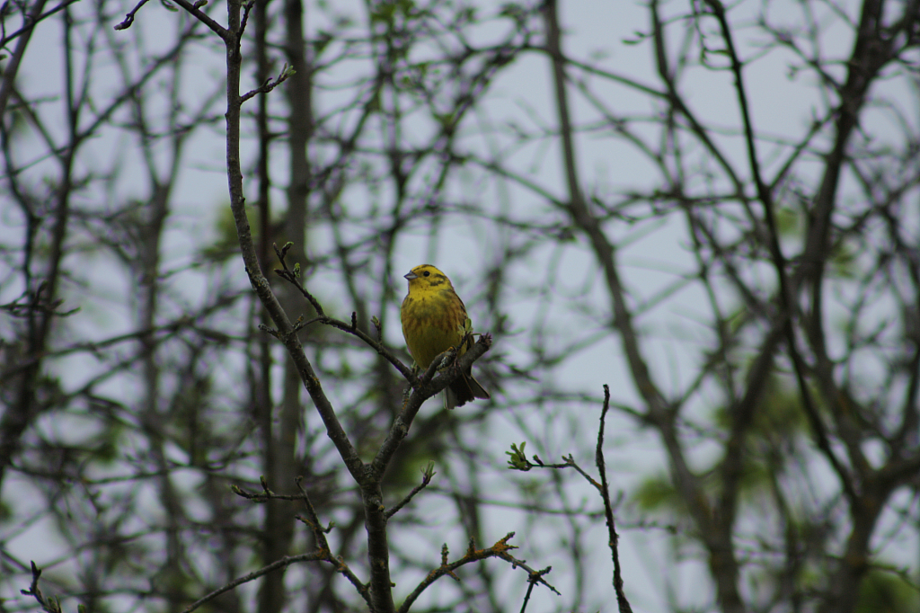 01.05.2013 18:53:33
Oberschleißheim - Garchinger Umland - Garchinger.de