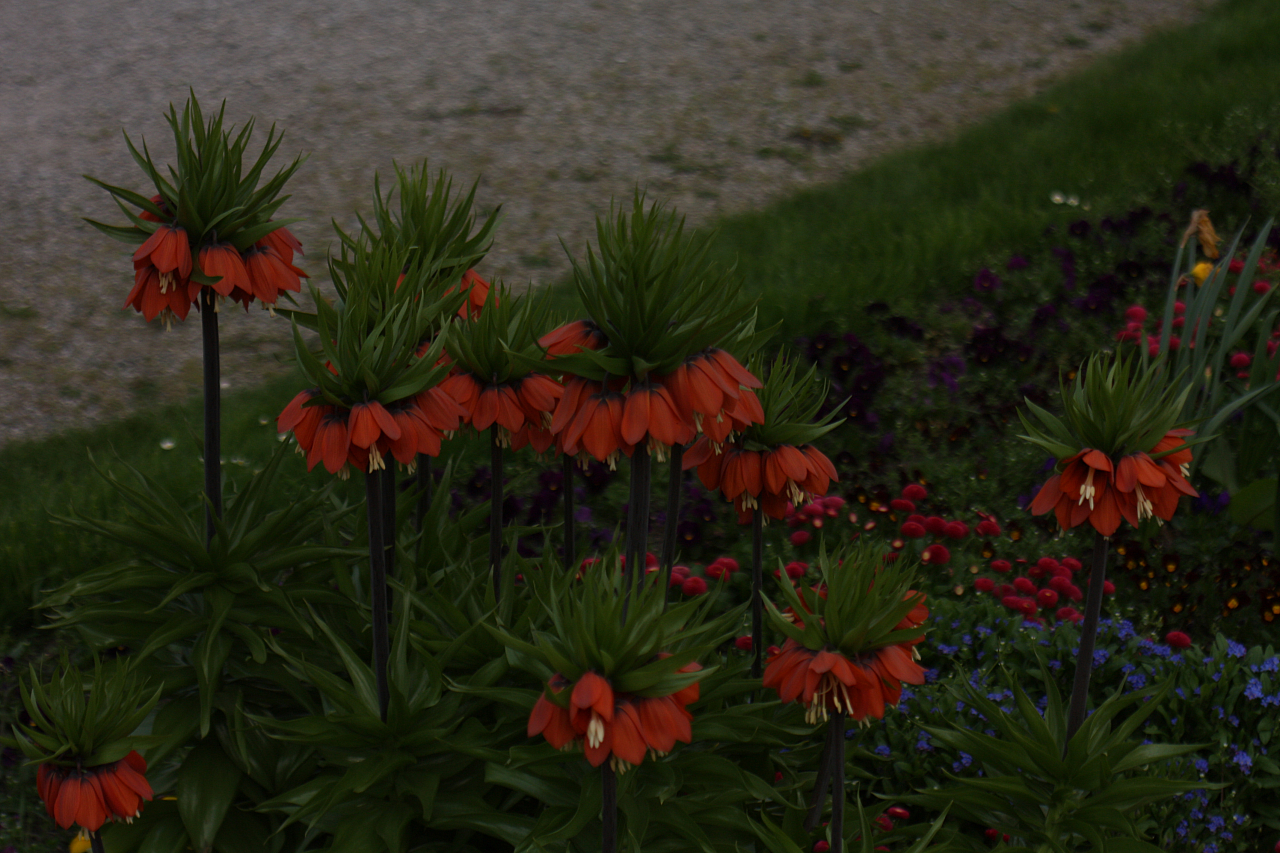 01.05.2013 17:39:37
Oberschleißheim - Garchinger Umland - Garchinger.de