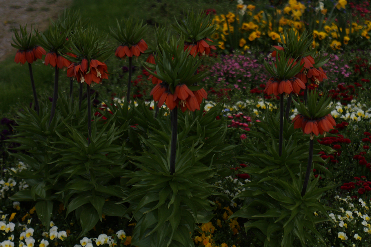 01.05.2013 17:40:00
Oberschleißheim - Garchinger Umland - Garchinger.de