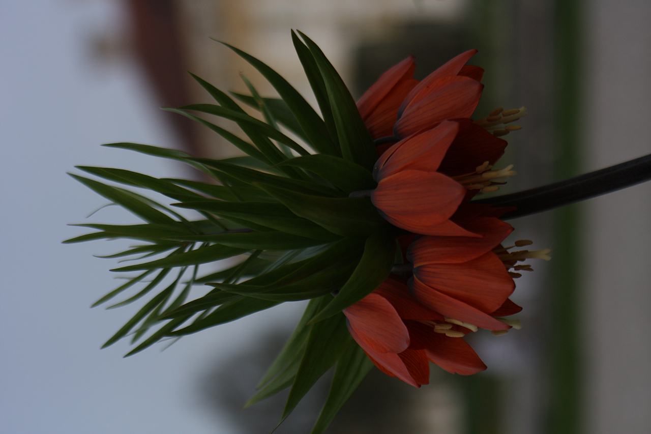 01.05.2013 17:41:12
Oberschleißheim - Garchinger Umland - Garchinger.de