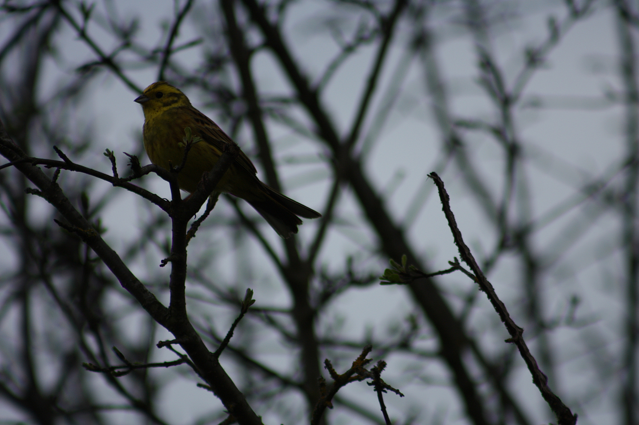 01.05.2013 18:53:46
Oberschleißheim - Garchinger Umland - Garchinger.de