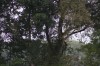 10.09.2014 16:25:48
Der Habichtweg bei Eicherloh
Garchinger Umland
Garchinger.de