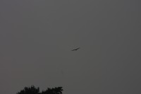 10.09.2014 15:51:30
Der Habichtweg bei Eicherloh
Garchinger Umland
Garchinger.de