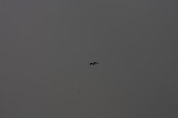 10.09.2014 15:51:31
Der Habichtweg bei Eicherloh
Garchinger Umland
Garchinger.de