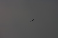 10.09.2014 15:51:38
Der Habichtweg bei Eicherloh
Garchinger Umland
Garchinger.de