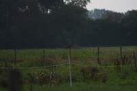 10.09.2014 15:54:00
Der Habichtweg bei Eicherloh
Garchinger Umland
Garchinger.de