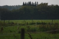 10.09.2014 15:54:15
Der Habichtweg bei Eicherloh
Garchinger Umland
Garchinger.de