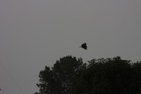 10.09.2014 15:55:24
Der Habichtweg bei Eicherloh
Garchinger Umland
Garchinger.de