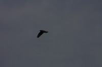 10.09.2014 15:55:53
Der Habichtweg bei Eicherloh
Garchinger Umland
Garchinger.de