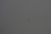 10.09.2014 15:58:05
Der Habichtweg bei Eicherloh
Garchinger Umland
Garchinger.de