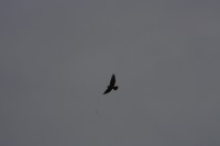 10.09.2014 15:59:38
Der Habichtweg bei Eicherloh
Garchinger Umland
Garchinger.de