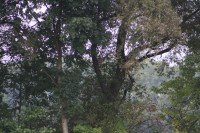 10.09.2014 16:25:25
Der Habichtweg bei Eicherloh
Garchinger Umland
Garchinger.de