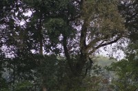 10.09.2014 16:25:48
Der Habichtweg bei Eicherloh
Garchinger Umland
Garchinger.de