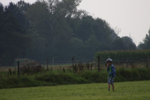 10.09.2014 15:50:45
Der Habichtweg bei Eicherloh - Garchinger Umland - Garchinger.de