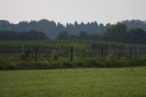 10.09.2014 15:51:13
Der Habichtweg bei Eicherloh - Garchinger Umland - Garchinger.de