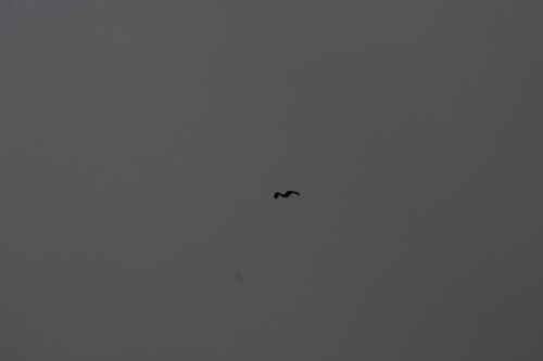 10.09.2014 15:51:31
Der Habichtweg bei Eicherloh - Garchinger Umland - Garchinger.de