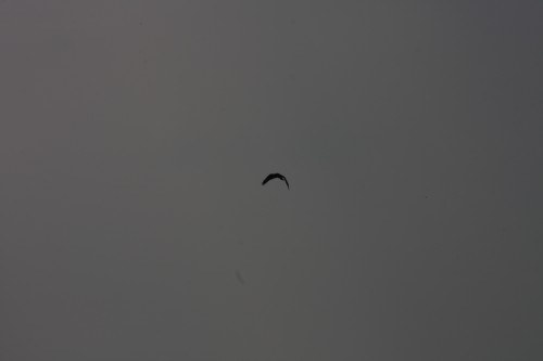 10.09.2014 15:51:33
Der Habichtweg bei Eicherloh - Garchinger Umland - Garchinger.de