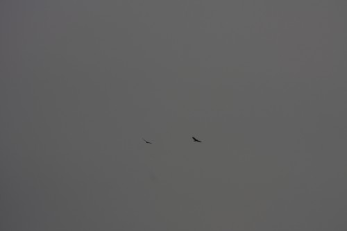 10.09.2014 15:58:05
Der Habichtweg bei Eicherloh - Garchinger Umland - Garchinger.de