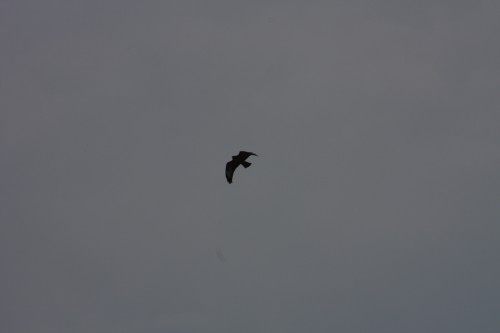 10.09.2014 15:59:38
Der Habichtweg bei Eicherloh - Garchinger Umland - Garchinger.de