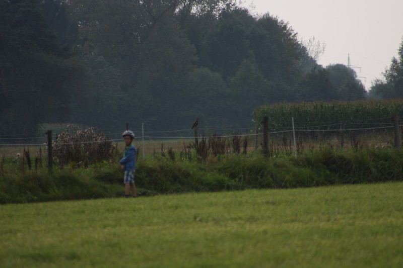 10.09.2014 15:51:06
Der Habichtweg bei Eicherloh - Garchinger Umland - Garchinger.de