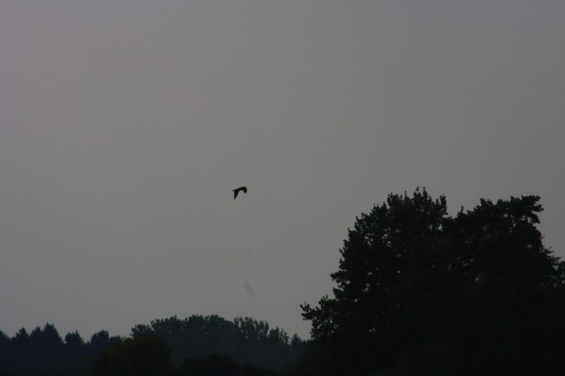 10.09.2014 15:51:25
Der Habichtweg bei Eicherloh - Garchinger Umland - Garchinger.de