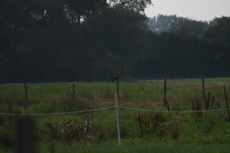 10.09.2014 15:54:00
Der Habichtweg bei Eicherloh - Garchinger Umland - Garchinger.de