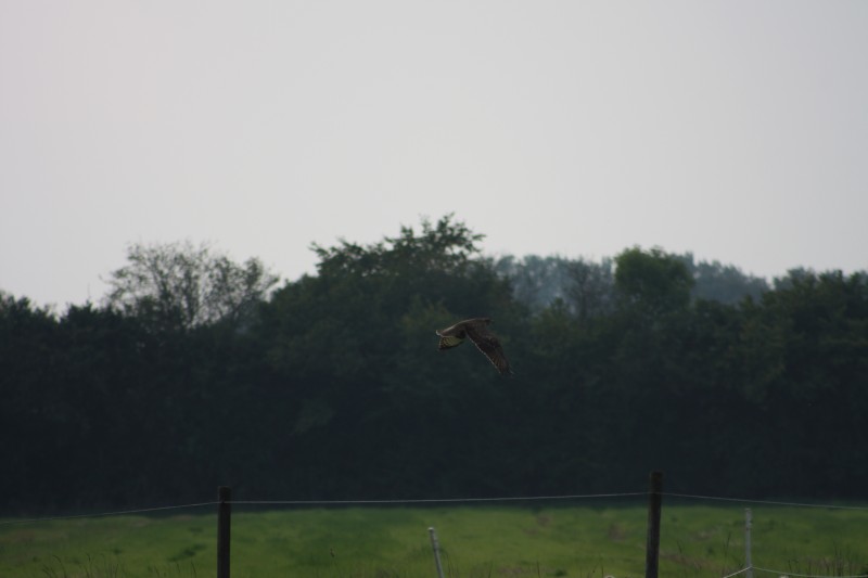 10.09.2014 15:55:06
Der Habichtweg bei Eicherloh - Garchinger Umland - Garchinger.de