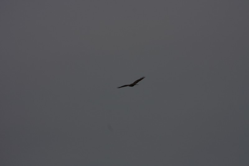 10.09.2014 15:55:31
Der Habichtweg bei Eicherloh - Garchinger Umland - Garchinger.de