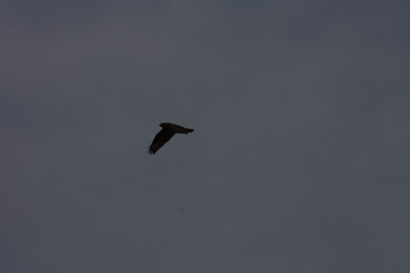 10.09.2014 15:55:53
Der Habichtweg bei Eicherloh - Garchinger Umland - Garchinger.de