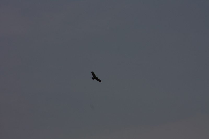 10.09.2014 15:57:13
Der Habichtweg bei Eicherloh - Garchinger Umland - Garchinger.de