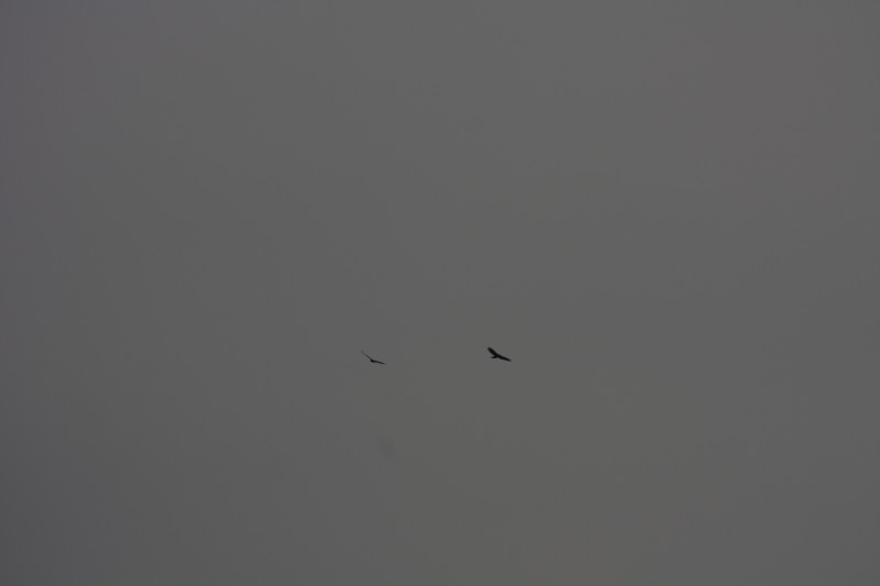 10.09.2014 15:58:05
Der Habichtweg bei Eicherloh - Garchinger Umland - Garchinger.de