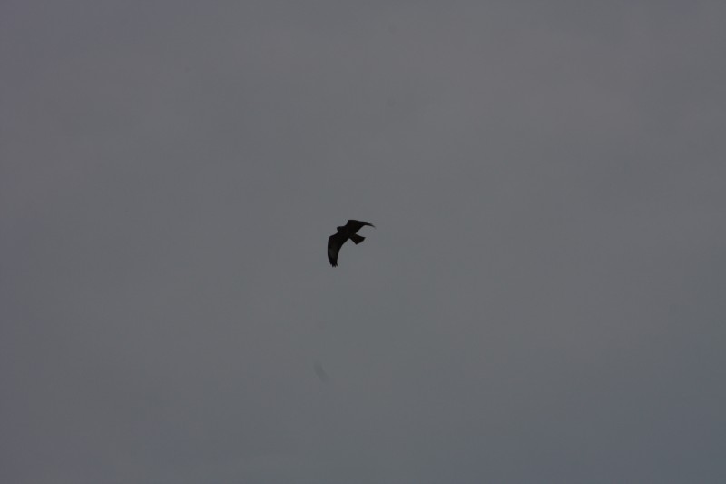 10.09.2014 15:59:38
Der Habichtweg bei Eicherloh - Garchinger Umland - Garchinger.de