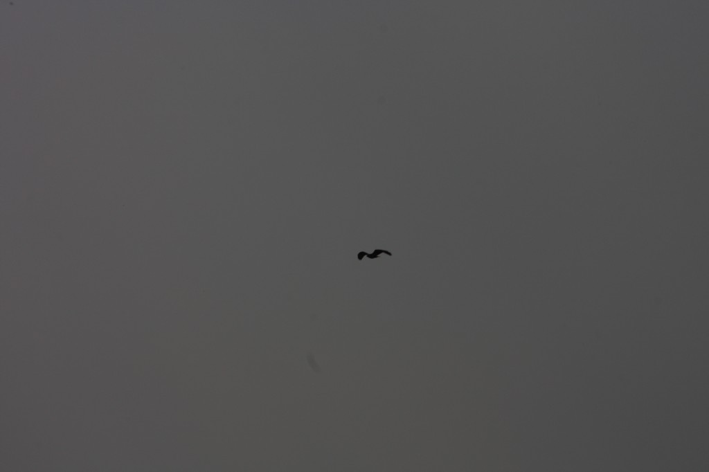 10.09.2014 15:51:31
Der Habichtweg bei Eicherloh - Garchinger Umland - Garchinger.de