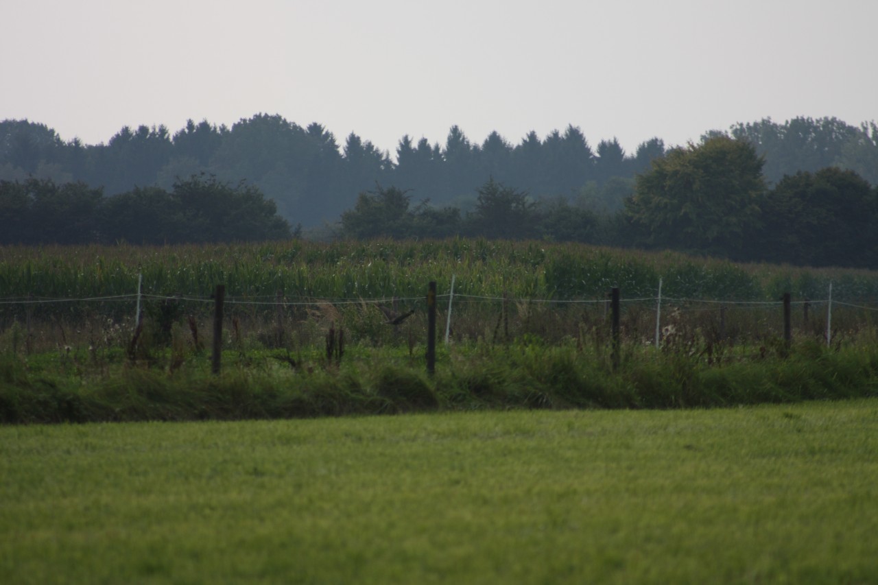 10.09.2014 15:51:13
Der Habichtweg bei Eicherloh - Garchinger Umland - Garchinger.de